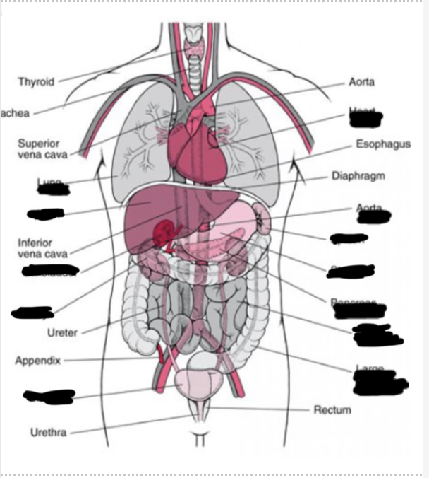 <p>3 (third left)</p>