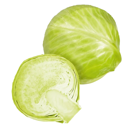 <p></p>