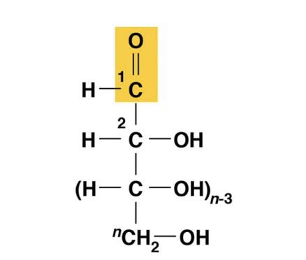 <p>A sugar has its C=O at the end of its carbon chain. What type of sugar is it?</p>