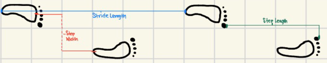 <p>Side-to-side distance between the two feet.</p>