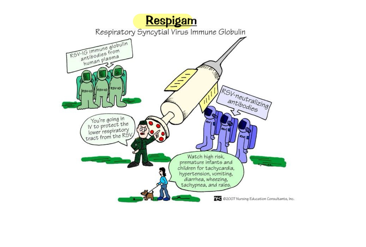 <ul><li><p>Treating a patient by injection of antibodies to a specific antigen </p></li><li><p>Typically IgG </p></li><li><p>Typically lasts 3-6 months </p><ul><li><p>Ex: Respiratory Syncytial Virus (RSV), Measles, SARS-CoV2, Rh factor </p></li></ul></li></ul><p></p>