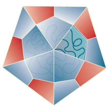 <p>Icosahedral (ex: Rhinovirus) </p>