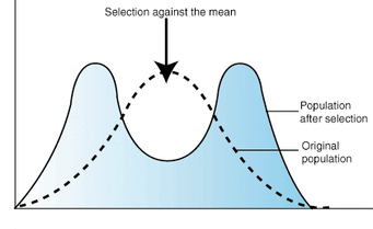 <p>If the average is maladaptive, selecting for the extremes</p>