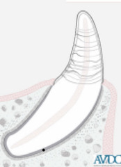 <p>What is this?</p>
