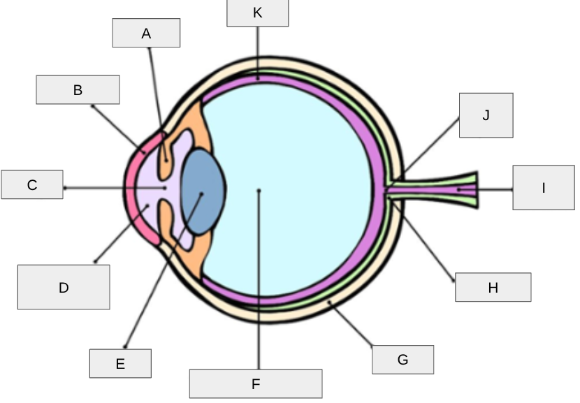 <p>A</p>
