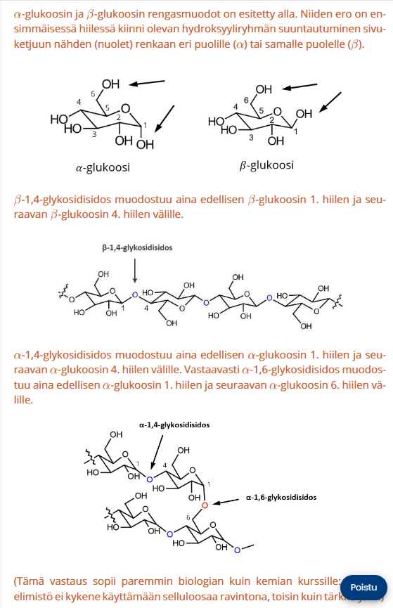 <ul><li><p><strong>α-glukoosi:</strong> 1. hiilen <strong>OH-ryhmä osoittaa alaspäin</strong> → muodostaa <strong>α-1,4-</strong>- ja <strong>α-1,6-glykosidisidoksia</strong> (esim. tärkkelys, glykogeeni).</p></li><li><p><strong>β-glukoosi:</strong> 1. hiilen <strong>OH-ryhmä osoittaa ylöspäin</strong> → muodostaa <strong>β-1,4-glykosidisidoksia</strong> (esim. selluloosa).</p></li></ul><p></p>