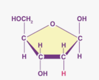 <p>What is this?</p>