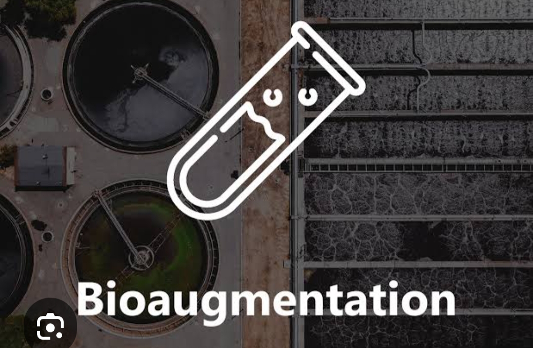 <p>What is Bioaugmentation?</p>