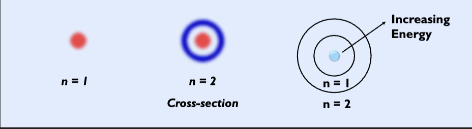<p>a positive integer 1,2,3…</p><p>determines the overall size and energy of an orbital</p><p>describes the distance of the orbital from the nucleus.</p><p>as n increases, energy increases, size of orbital increases, energy differences between orbitals decreases</p>