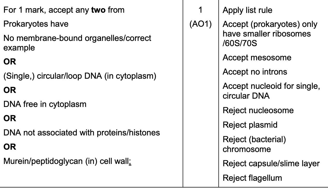 <p>reject plasmids - smaller versions of circular DNA which are not necessary for survival</p>