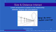 <p>How do artists use linear perspective?</p>