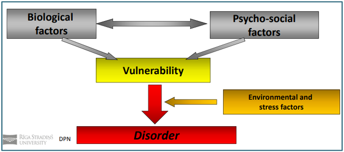 <p>Process where schizophrenia manifests when a biological or psychological vulnerability (diathesis) interacts with stressful events in life. Explains variability in onset, course &amp; relapse</p>