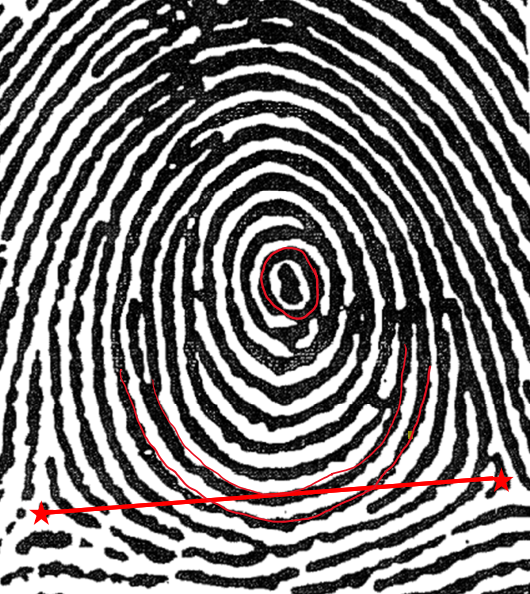 <p>Plain Whorl - PW</p><ul><li><p>2 deltas &amp; at least one ridge making a complete circuit</p></li><li><p>An imaginary line drawn between the deltas <u>must touch / cross</u> at least one of the recurving ridges within the pattern area</p></li></ul><p></p><p>Whorls are defined as a pattern which has at least 2 deltas &amp; a recurve in front of each delta</p>