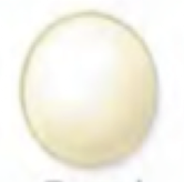 <p>Colony shape </p>