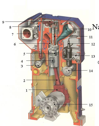 knowt flashcard image