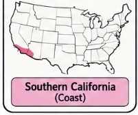 <p>Southern California coast — fishing and maritime culture</p>
