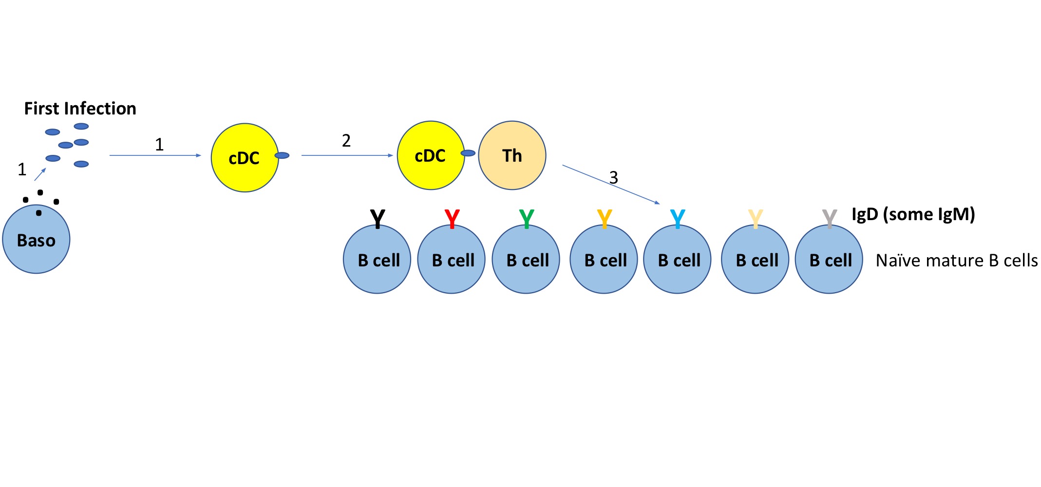 <p>SLIDES 10-18 </p>