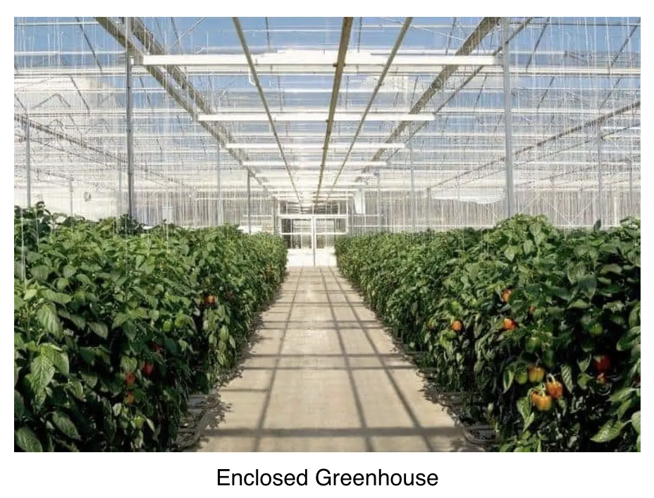 <p>Advantage: Variables → e.g. temperature + light can be carefully controlled</p><p>Disadvantage: Conditions are less representative of the natural environment</p>