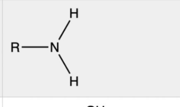 <p>Charged, accepts H+ to form NH3, basic</p>