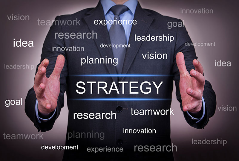 <p>Adaptive purposeful striving</p>
