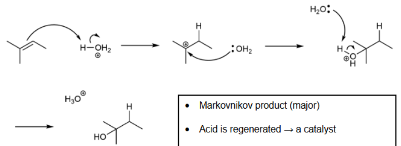 <p>heterolytic cleavage; H bonds first, then OH<sub>2</sub>, then hydrogen is removed by H<sub>2</sub>O to get OH on compound</p>