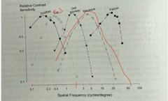 <p>Based on the following graph, it is clear that a goldfish, as compared to a human (peak at 4 cpd), can see better in terms of contrast processing of small/large objects, which means that goldfish have a worse/better visual acuity than humans</p>