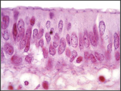 <p>What does this image show?</p>