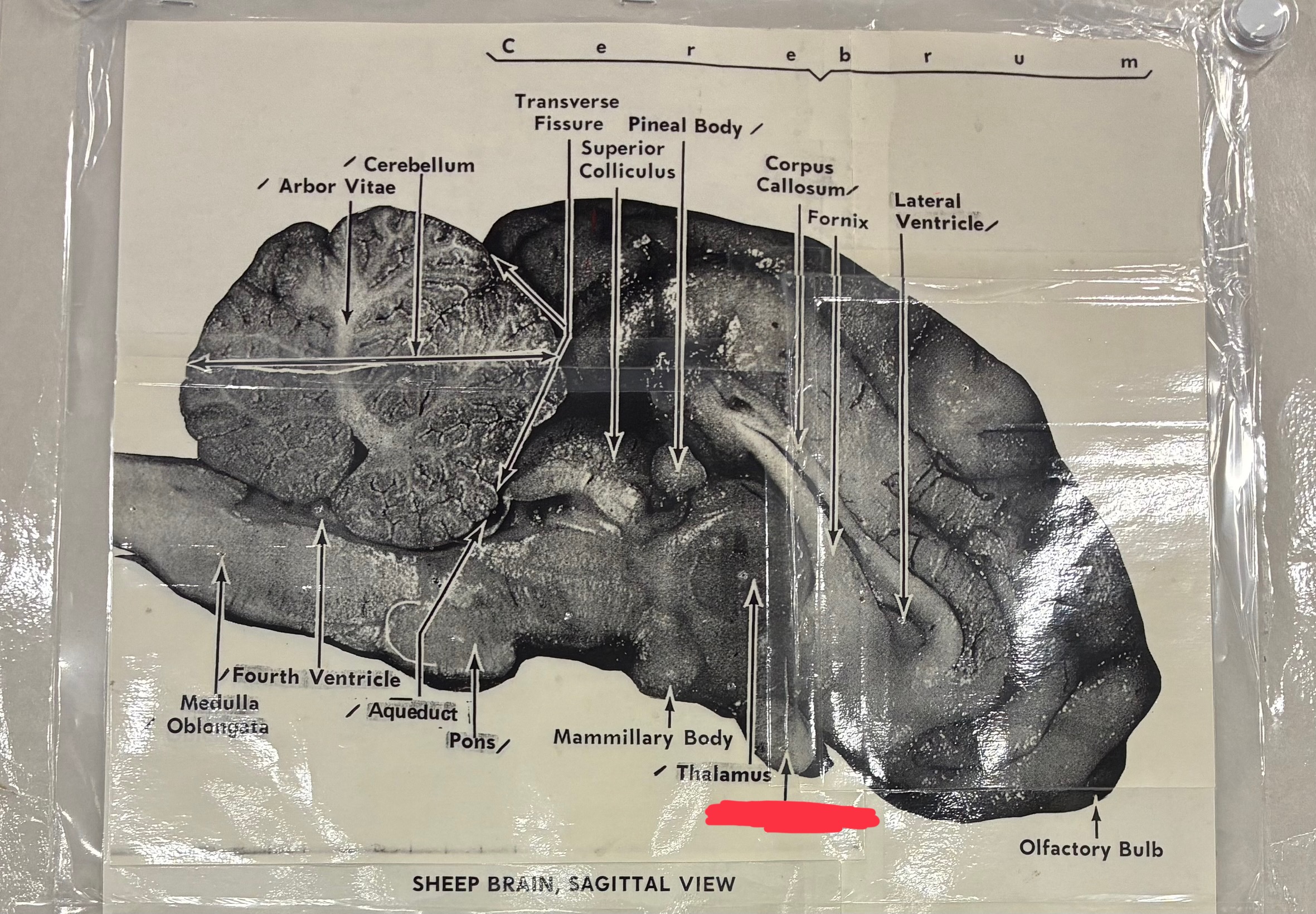 <p>?</p>
