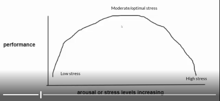 <p>learning and performance is at its best when there is moderate stress.(Inverted U)</p>