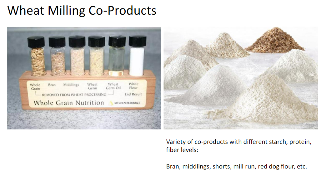 <p><strong>Co-Products</strong><br> • Variety of <strong>co-products</strong> with different levels of <strong>starch, protein, and fiber</strong><br> • <strong>Bran</strong><br> • <strong>Middlings</strong><br> • <strong>Shorts</strong><br> • <strong>Mill run</strong><br> • <strong>Red dog flour</strong></p>