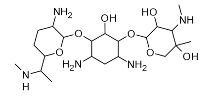<p>[AMINOGLYCOSIDES]</p><p>a. Gentamicin</p><p>b. Tobramycin</p><p>c. Amikacin</p><p>d. Neomycin</p><p>e. Kanamycin</p><p>f. Streptomycin</p>