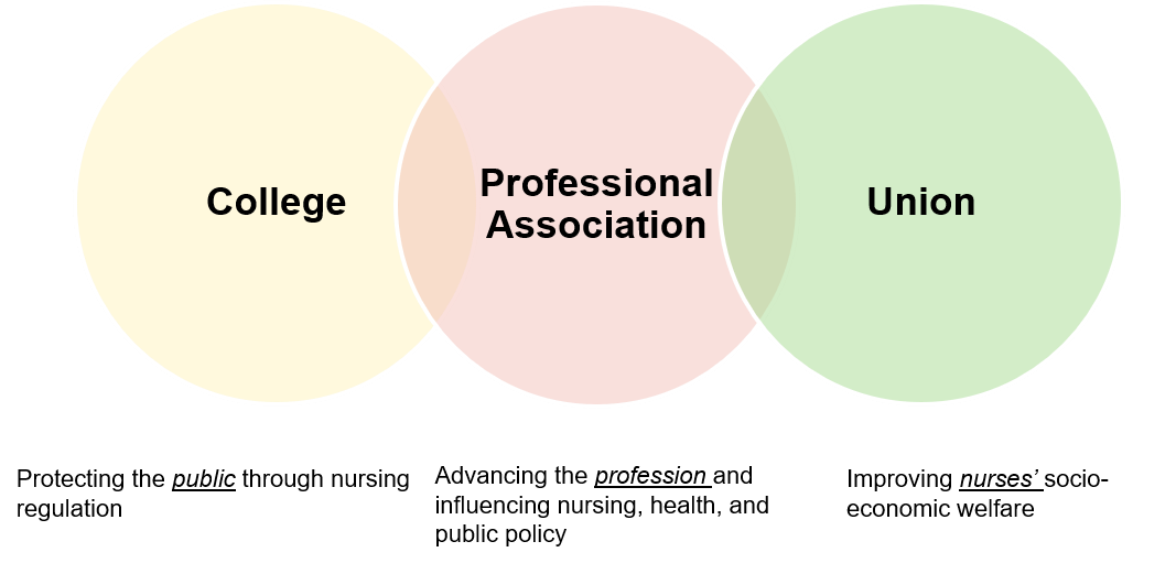 <p>how does the professional association play a role in Influencing Policy</p>