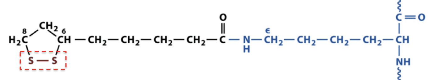 <p>what structure is this</p>