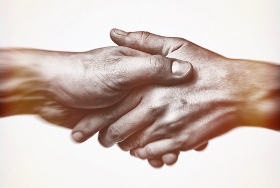 <p>B: Fidelity and responsibility</p>
