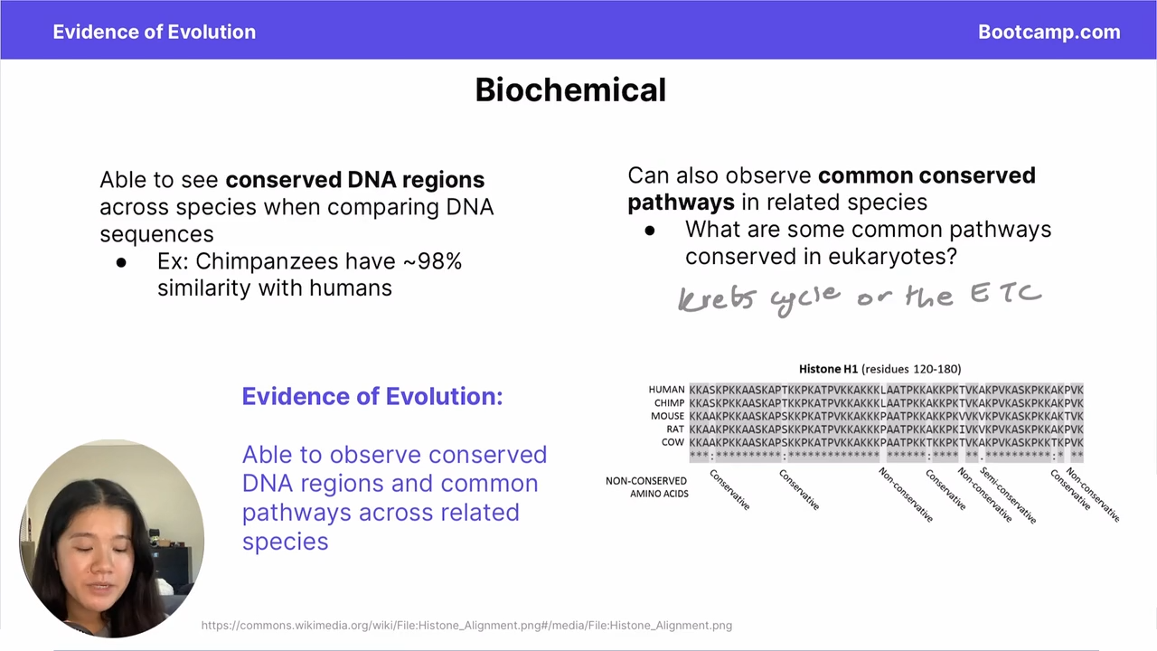 <p>That eukaryotes share common pathways and in turn share common pathways</p>