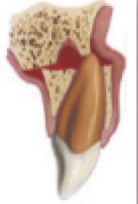 <p>What is this?</p>