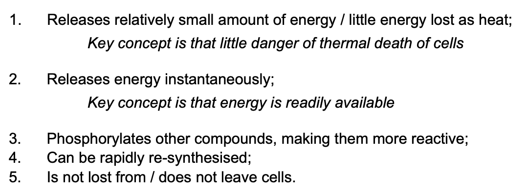 <ul><li><p>releases relatively small amount of E</p></li><li><p>releases E instantaneously</p></li><li><p>phosphorylates other compounds</p></li><li><p>can be rapidly resynthesised</p></li><li><p>is not lost from/does not leave cells </p></li></ul><p></p><p>BUT:</p><ul><li><p>can’t be stored in last quantities as lowers water potential due to its -ve charges</p></li><li><p>this means it will attract water through osmosis, causing cells to lyse</p></li><li><p>a cell must have lots of mitochondria to release lots of ATP (as only a small amount can be released each time)</p></li></ul><p></p>