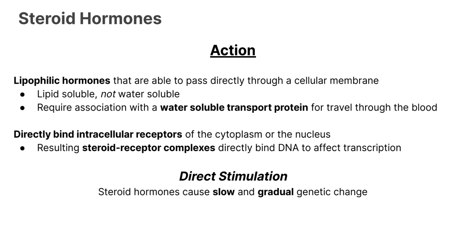 <p><strong>Steroid Hormones </strong>undergo <strong>slow </strong>and <strong>gradual genetic </strong>change. </p>