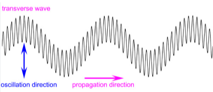 <ul><li><p>light </p></li><li><p>particles vibrate perpendicular to the direction the wave is traveling </p></li><li><p> it only happens with transverse/light waves </p></li></ul><p></p>