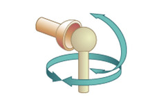 <p>A functional joint classification describing a freely moveable joint.</p>