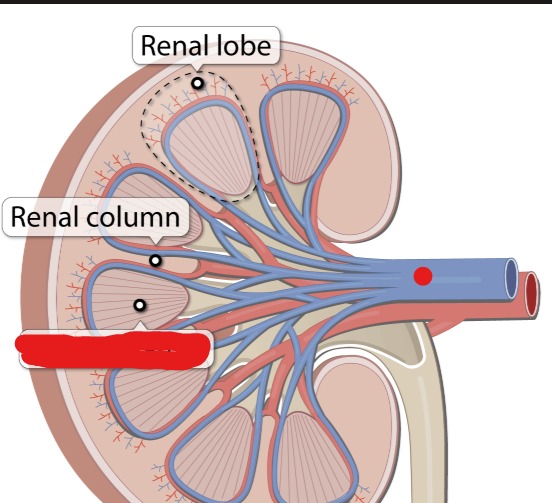 <p>name the parts</p>