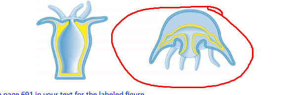 <p>what / example</p>