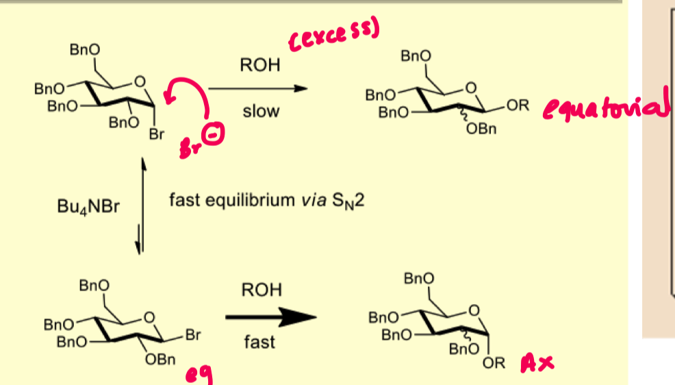 <p>describe how in-situ anomerisation works</p>