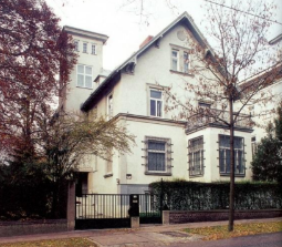 term image