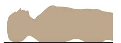 <p>c’est quel contour de l’abdomen</p>