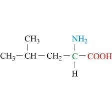 <p>aliphatic, hydrophobic (affect conformation of protein)</p>