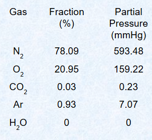 <p>Mainly nitrogen and oxygen</p>