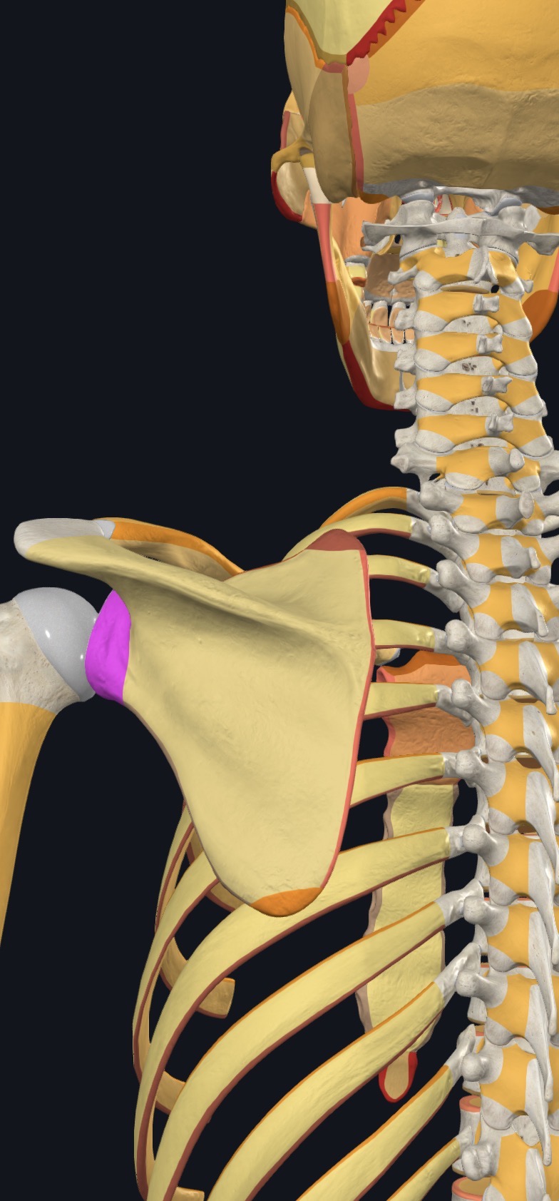 <p>what is this?</p>