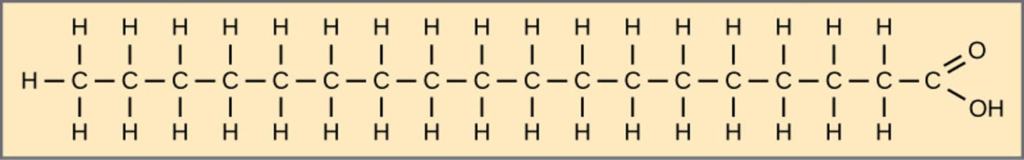 <p>saturated</p><p>(Note: are bad for</p><p>health since the straight</p><p>chains stack densely and</p><p>form fat plaques)</p>