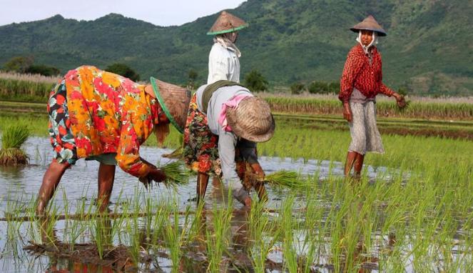 <p>Ekonomi Tradisional</p>